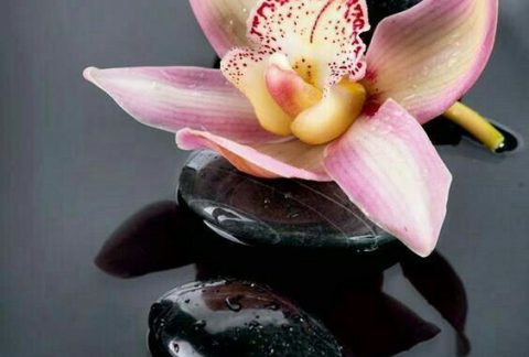Hot Stone Massage